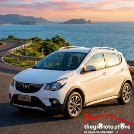 Độ bi pha cho xe Fadil tại Hải Phòng.