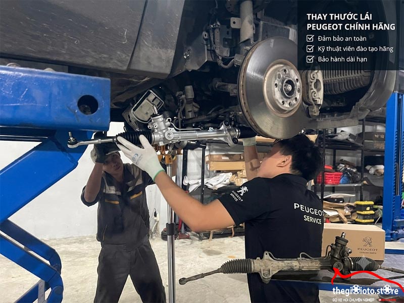 thay_thuoc_lai_peugeot_chuyen_nghiep